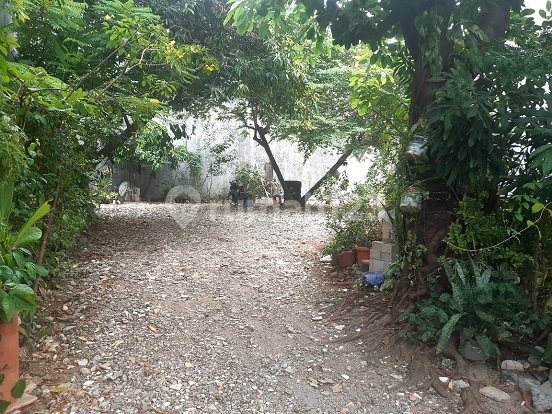 Turun Harga Dijual Kavling Dibawah NJOP ,Di Sunter , Jakarta Utara