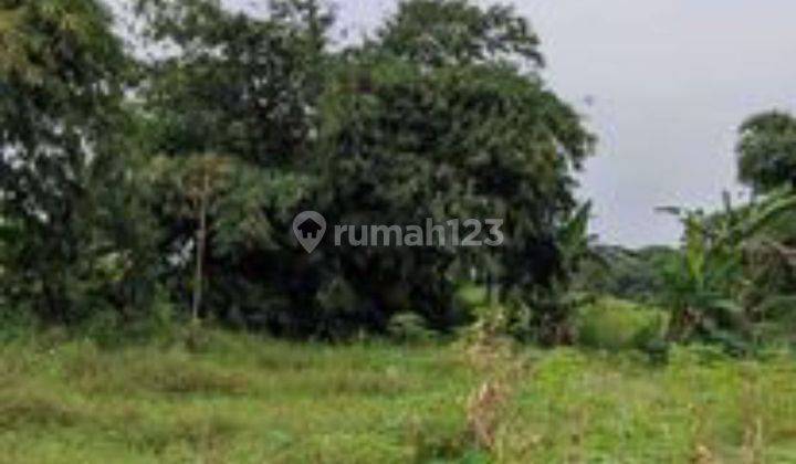  Tanah murah, butuh cepat  di Rahong  Cilaku Cianjur 2