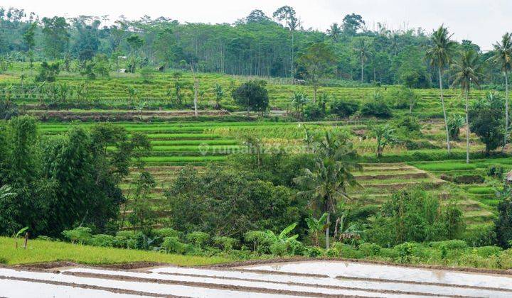  Tanah Strategis di Cipanas Cianjur , dekat kawasan wisata Taman bunga  1