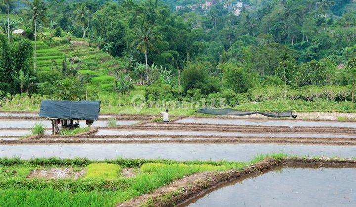  Tanah Strategis di Cipanas Cianjur , dekat kawasan wisata Taman bunga  2