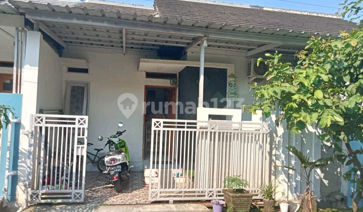 Ready-to-Live House in Cianjur City, Land 60, Building 36, Price 235 Million Ready-to-Live House in Cianjur City, Land 60, Building 36, Price 235 Million