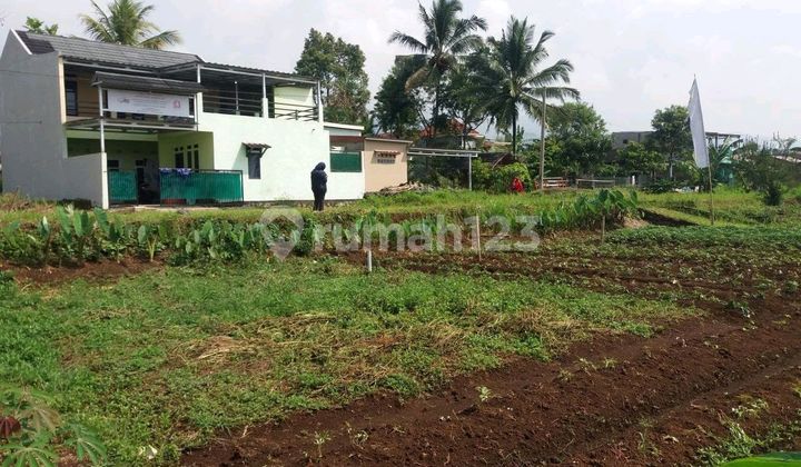 Kavling Siap Bangun – Strategis Di Area Kota Cianjur! di SDN Caringin, Jl. Caringin, Mekarsari, Cianjur, Cianjur, Jawa Barat, Indonesia, 43211, Cianjur