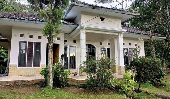 Jual Rumah beserta sawah, kebun di Pasirkuda Cianjur-selatan , dekat dng wisata Curug citambur 1