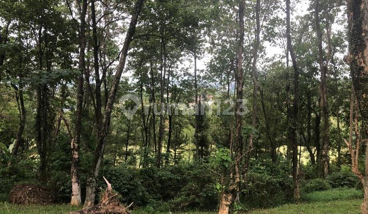 Tanah Kavling View Golf Di Sentul City Bogor Tanah Kavling View Golf Di Sentul City Bogor