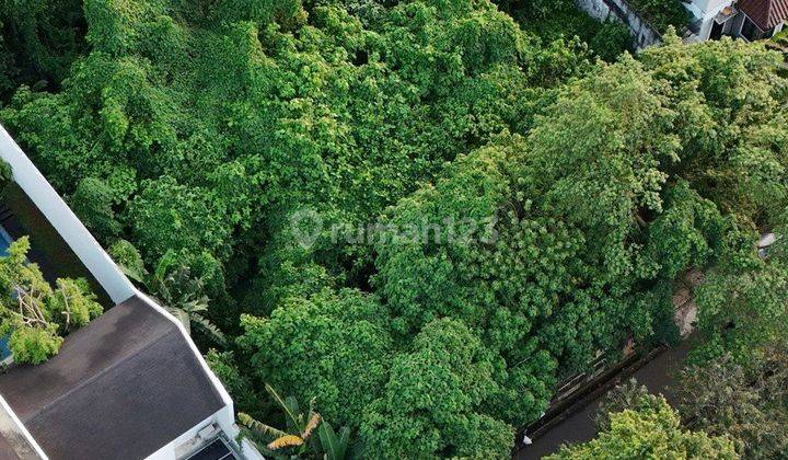 Tanah komersil UNGU di kemang , Zona ungu, bisa untuk komersial, perkantoran, gudang, pabrik, gedung, ruko dan berbagai usaha lainnya 2