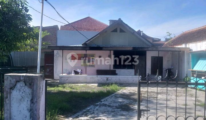 Sell Large Land House Cheap Suitable for Homestay Business Office Near Kariadi Hospital Semarang Sell Large Land House Cheap Suitable for Homestay Business Office Near Kariadi Hospital Semarang