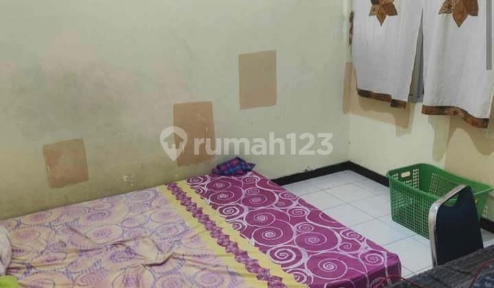 Jual Rumah Bagus Murah Furnish Hook Bulusan Dekat Undip 2,1 Km Tembalang 2