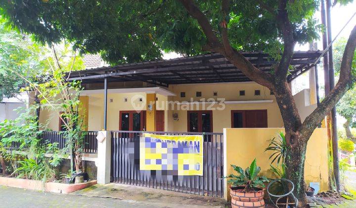 Sewa Rumah Murah Bagus 3 Kt Gedawang Dekat Undip Polines Yumanik 1