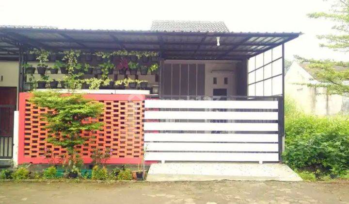 Sewa Rumah Murah Siap Huni Furnish Belakang Unimus, Dekat Undip Polines  1