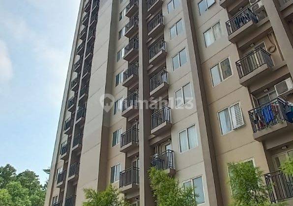 Di Sewakan Unit Aparteman Lantai Bawah Podomoro Golf View 1