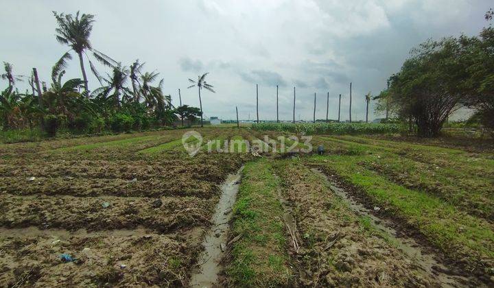 Dijual Tanah Luas di Sukamekar Sukawangi Bekasi  1