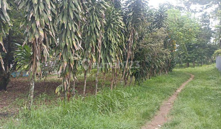 Lokasi Belakang Pasar Cileungsi, Tanah Kosong Cocok Untuk Rumah 2