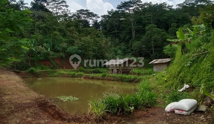 Jual Tanah Kebun Dan Kolam Ikan Ciamis Jawa Barat Jual Tanah Kebun Dan Kolam Ikan Ciamis Jawa Barat
