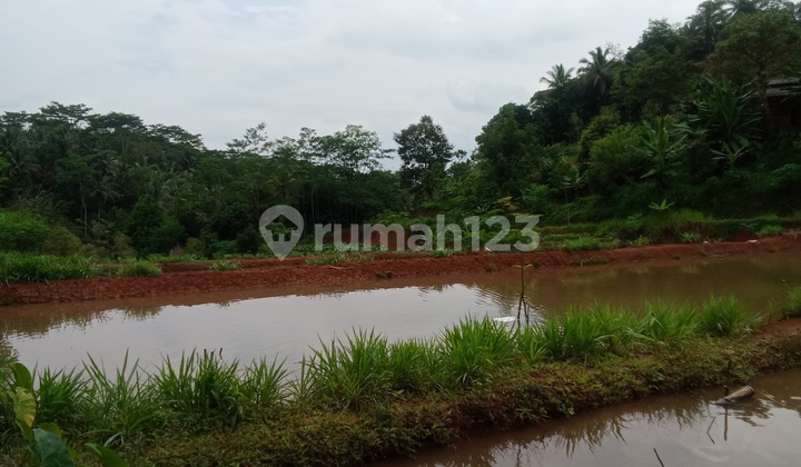 Jual Kebun Dan Kolam Ikan Tuk Usaha Ciamis Jawa Barat Jual Kebun Dan Kolam Ikan Tuk Usaha Ciamis Jawa Barat