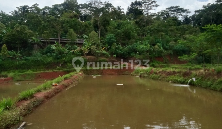 Jual Kebun Dan Kolam Ikan Tuk Usaha Ciamis Jawa Barat Jual Kebun Dan Kolam Ikan Tuk Usaha Ciamis Jawa Barat