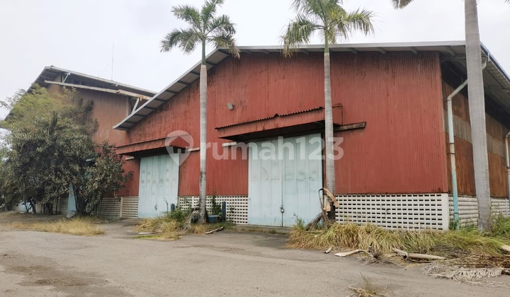 Gudang Cakung Cilincing Jl Raya Bagus Banget