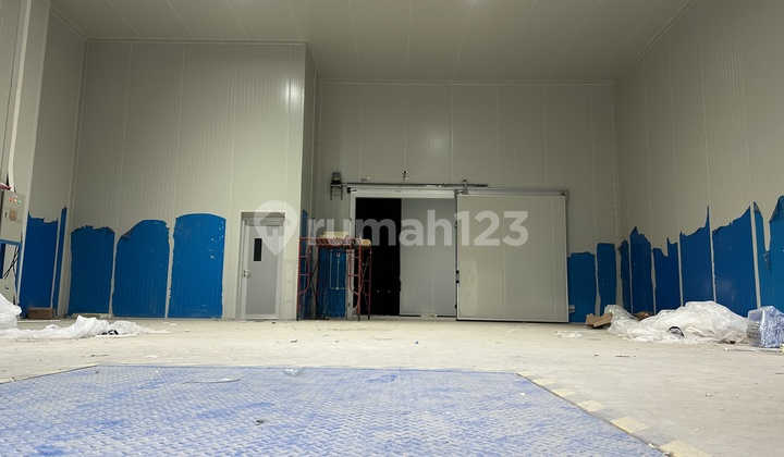 Gudang Cold Storage di Kelapa Gading Ok Bangetz