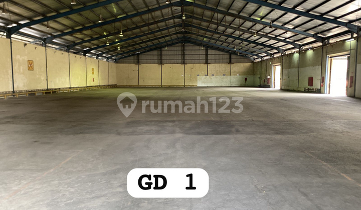 Good Coconut Gading Tipar Cakung Warehouse, Ready to Use