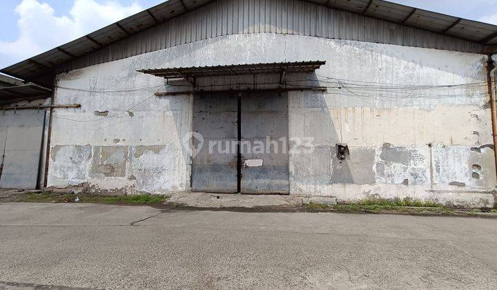 Gudang di penggilingan Jaktim bisa container 2