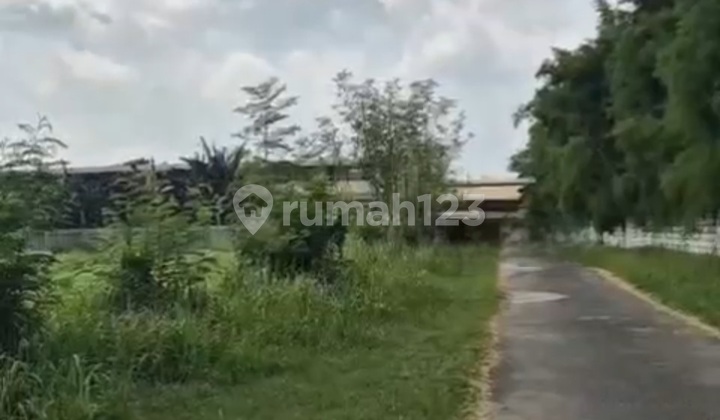 Kavling 6.2 Ha Murah Di Karawang Cocok U/perumahaan/gudang