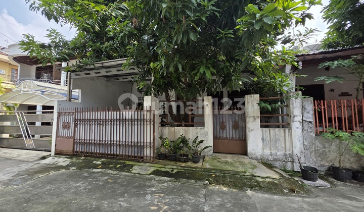 Sunter Hdp East House 8x15