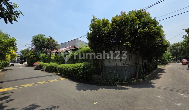 Rumah Tua Murah Di.sunter Dlm Kompleks Rumah Tua Murah Di.sunter Dlm Kompleks