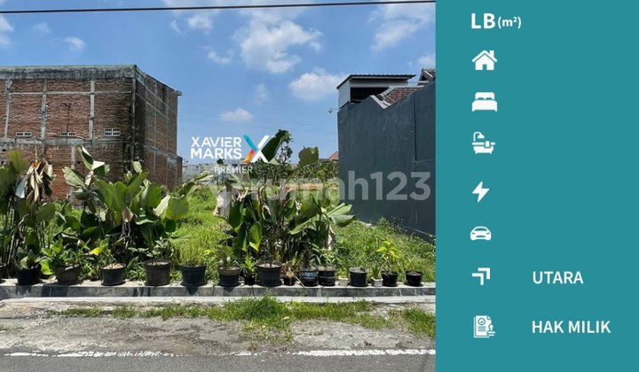 Tanah Strategis Dekat Terminal di Teluk Grajakan Malang Tanah Strategis Dekat Terminal di Teluk Grajakan Malang