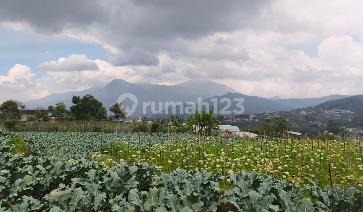 Tanah Nol Jalan Siap Bangun di Tulungrejo Bumiaji Batu