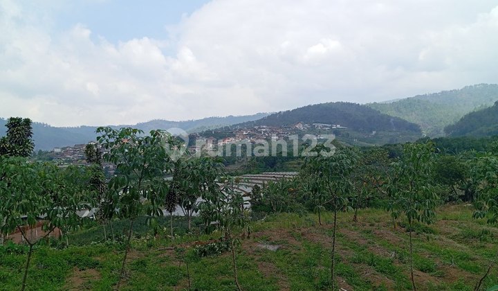 Tanah Poros Jalan Kawasan Wisata di Selecta Batu Tanah Poros Jalan Kawasan Wisata di Selecta Batu