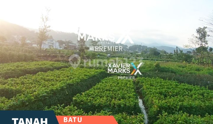Tanah Kebun Akses Mobil di Metro Sisir Batu Malang