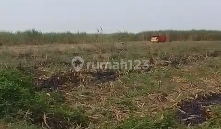 Tanah buat Perumahan Mojokerto