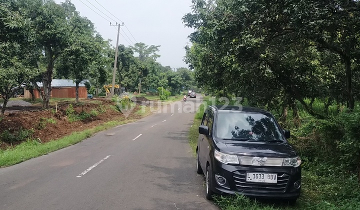 Land for Sale for Livestock, Tourism, Plantation Land for Sale for Livestock, Tourism, Plantation