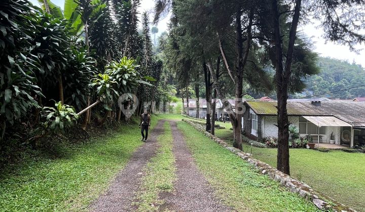 Dijual Rumah Villa Asri Vintage Di Lembang Bandung