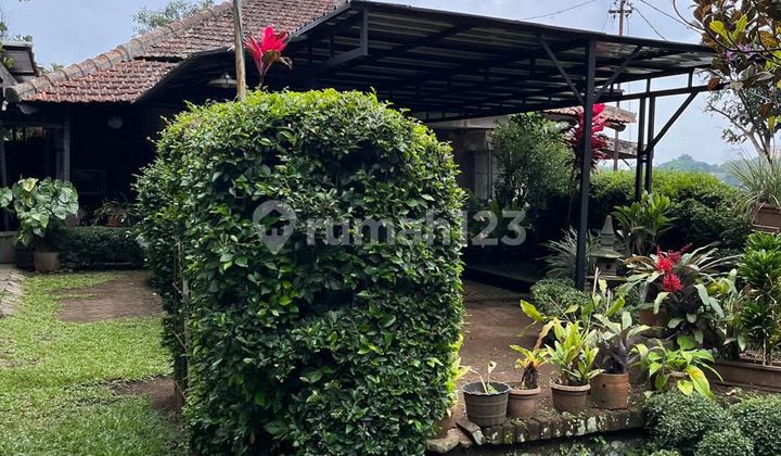 Dijual Rumah Hitung Tanah Mainroad Ciumbuleuit Bandung Dekat dengan Tempat Wisata 2