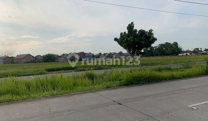 Jarang Ada ‼️dan Masih Ada Tanah Murah Banget Di Mainroad Jl. Baru Karawang Barat di Jl. Arteri Galuh Mas, Sukaharja, Telukjambe Timur, Karawang, Jawa Barat, Karawang Timur