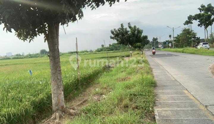 Dijual Kavling Tanah Murah Di Mainroad Karawang 