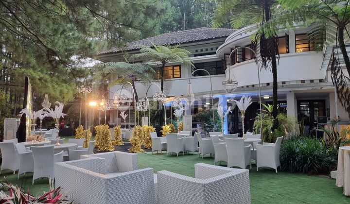 Jarang Ada ‼️dijual Hotel Classic Mewah Unik Estetik Vibesnya Alam Pohon Pinus Di Bandung Utara Jarang Ada ‼️dijual Hotel Classic Mewah Unik Estetik Vibesnya Alam Pohon Pinus Di Bandung Utara