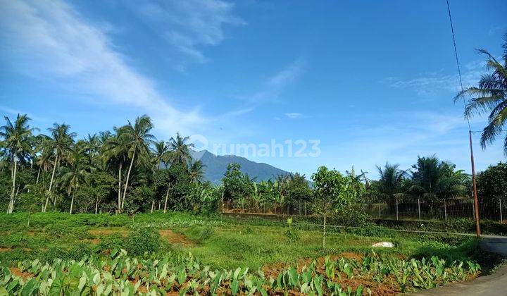 Dijual Tanah Luas Dan Murah Lokasi Strategis Dengan Pemandangan Gunung Dekat Akses Tol 1