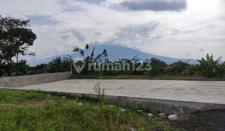Dijual Tanah Murah Luas Di Pancawati Lokasi Sejuk Dan View Gunung