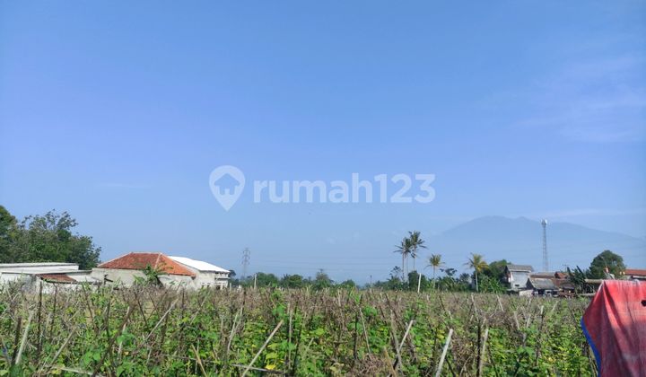 Dijual Tanah Luas Dengan View Gunung Murah Cocok Untuk Kavling Dijual Tanah Luas Dengan View Gunung Murah Cocok Untuk Kavling