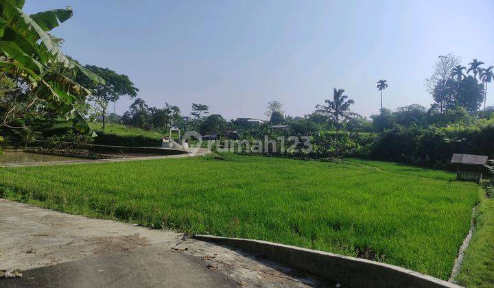 Dijual Tanah Murah Lokasi Strategis Dekat Pintu Tol Bocimi Caringin Bogor 1