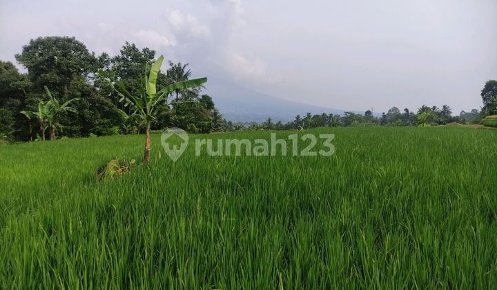 Dijual Tanah Murah dan Luas Lokasi Dekat Tol Bocimi Caringin