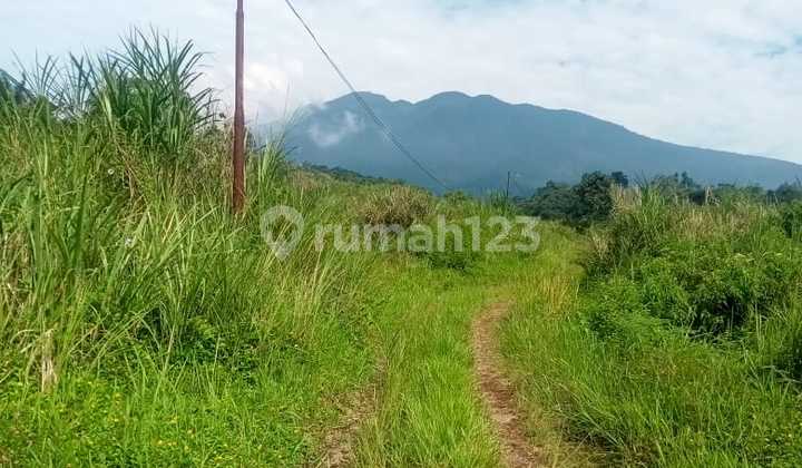 Tanah Dijual View Gunung Lokasi Strategis Dekat Tol Cigombong