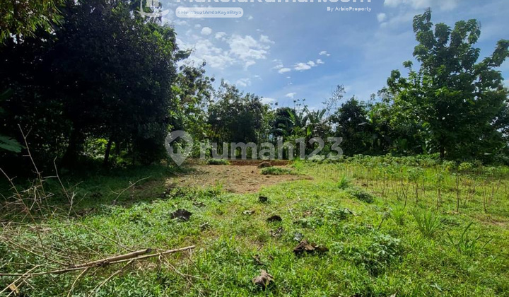 Dijual Tanah Murah Dibawah NJOP di Rancamaya Bogor Selatan Dijual Tanah Murah Dibawah NJOP di Rancamaya Bogor Selatan