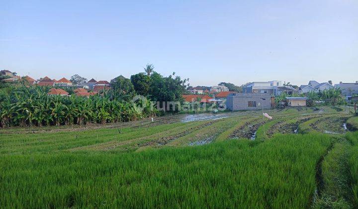 For sale villa unit 200 m HS in Umalas Badung 2