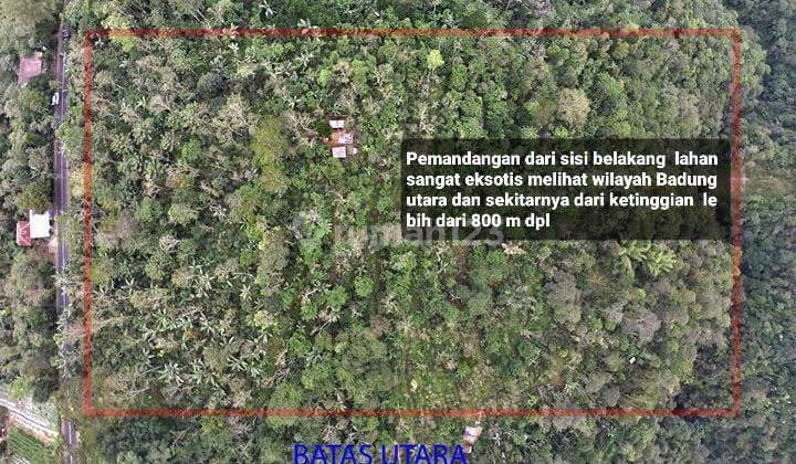 Tanah Sertifikat Hak Milik Area di Desa Catur Kintamani 1