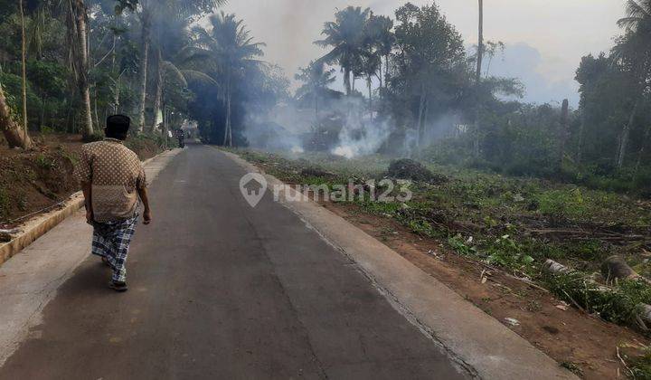 Tanah Strategis 100 Meter Dari Jalan Raya Semarang-Yogya 2