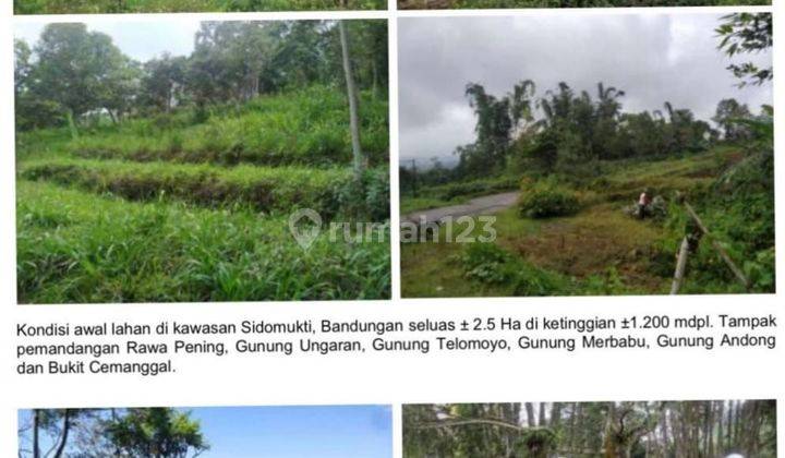 Dijual Tanah, Di Bandungan Jateng Cocok Untu Tepat Wisata, Resort 2