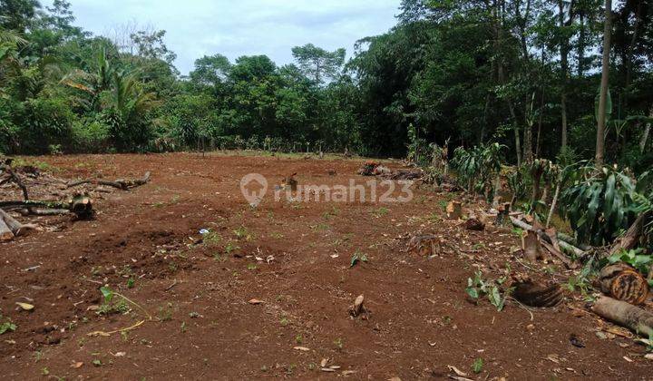 Tanah Kavling Murah Bisa Dicicil 12X, Lokasi Cibodas Rumpin 2