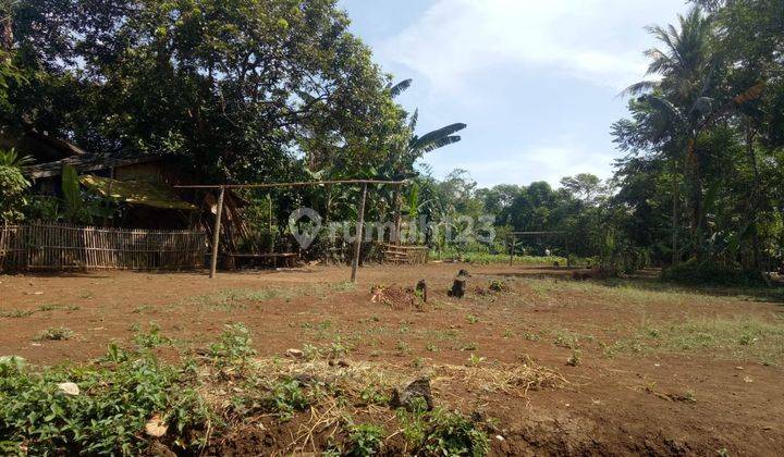 Dijual Tanah Kavling Murah Free SHM 12,4 Km Menuju Universitas Ibnu Khaldun Bogor 1